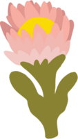 Flower hand drawn vector