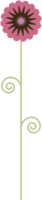 Flower minimalist vector