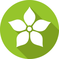 Flower icon vector