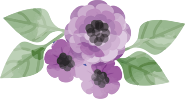 Flower watercolor vector