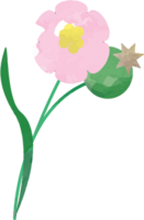 Flower water color vector