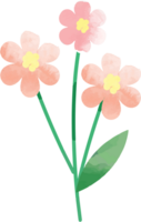 flor de color de agua vector
