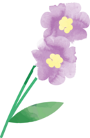 Flower water color vector