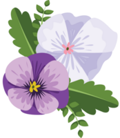Pansy flower vector