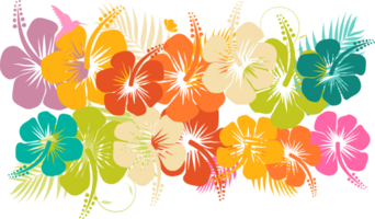 Bunch of polynesian flower vector