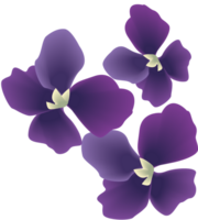 Flower vector