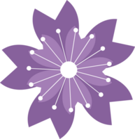 Flower blossom vector