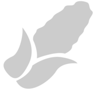 Vegetable vector