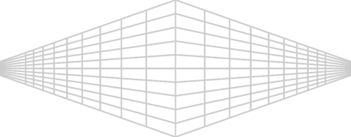 Geometric wire frame line vector