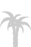 Palm Tree  vector