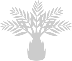 palmera vector