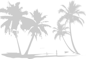 palmera vector