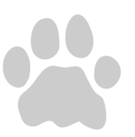 Paw vector