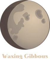 Moon phase vector