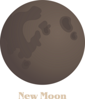 Moon phase vector