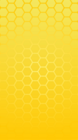 Rectangle honey comb  vector