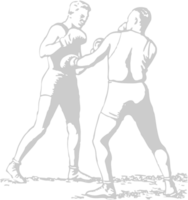 Boxing vector