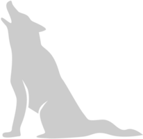 Wolf vector