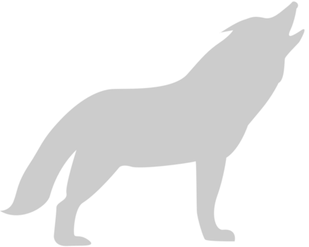 Wolf vector