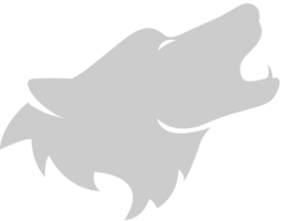 Wolf vector