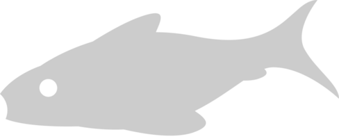 Fish vector