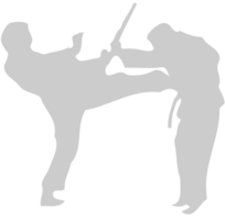 Artes marciales vector