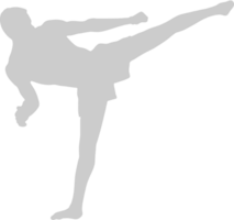 Artes marciales vector