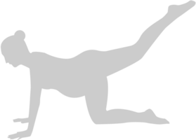 yoga vector