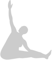 Yoga vector