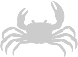 Crab vector