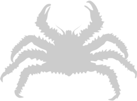 Crab vector