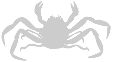 Crab vector