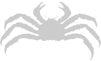 Crab vector