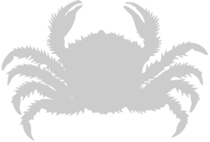 Crab vector