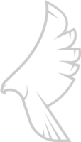 Hawk vector