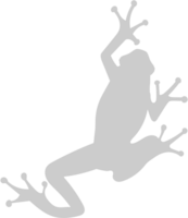 Frog vector