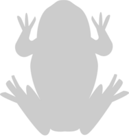 Frog vector