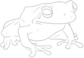 Frog vector