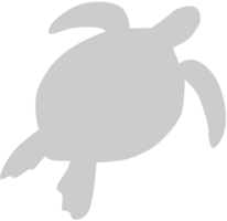 Tortuga vector