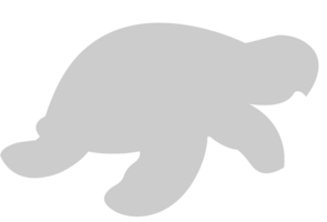 Turtle vector