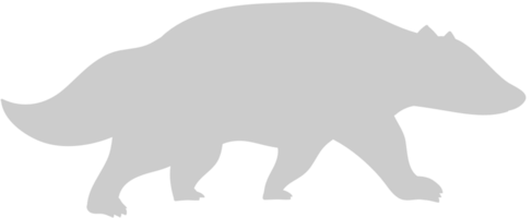 Badger vector