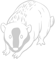 Badger vector