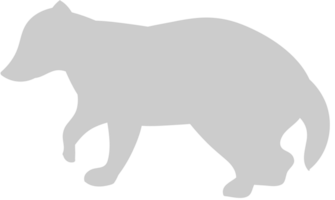 Badger vector