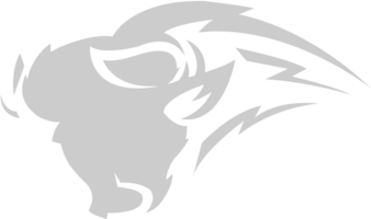 Bison vector