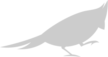 cardenal vector