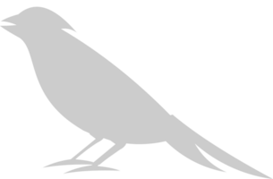 cardenal vector