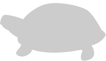 Tortuga vector