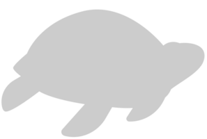 Tortuga vector