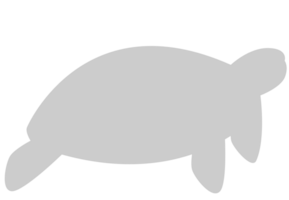 Tortuga vector