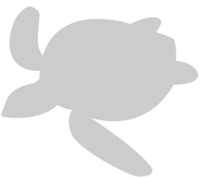 Tortuga vector